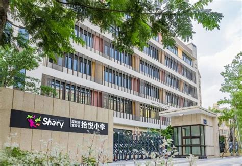 2020深圳小学_深圳小学学位申请_深圳小学入学条件|升初中-深圳本地宝