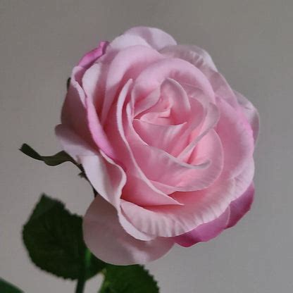 Pink Artificial Rose – Single Stem Faux Flower for Home, Office & Even ...