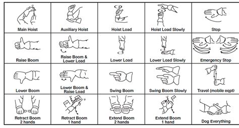 Image result for Rigging Tutorial