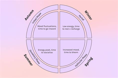 Image result for Period Cycle Explained