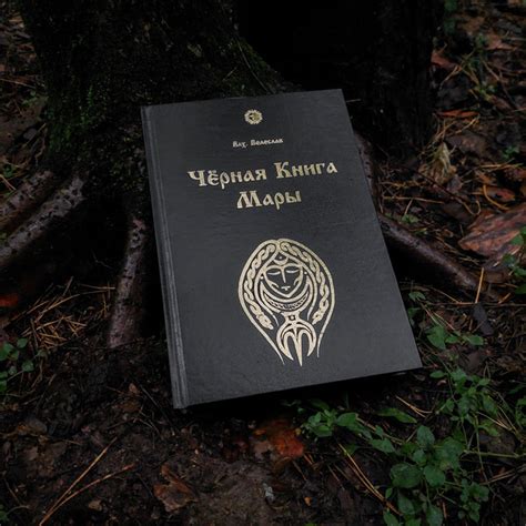 Чёрная Книга Мары | Волхв Велеслав купить на OZON по низкой цене ...