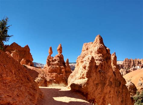 Hiking in Bryce Canyon National Park | Serendipity On Purpose