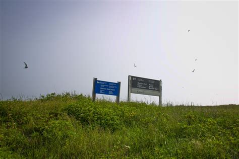 The Puffin Tour at Machias Seal Island — MARITIMES MAVEN