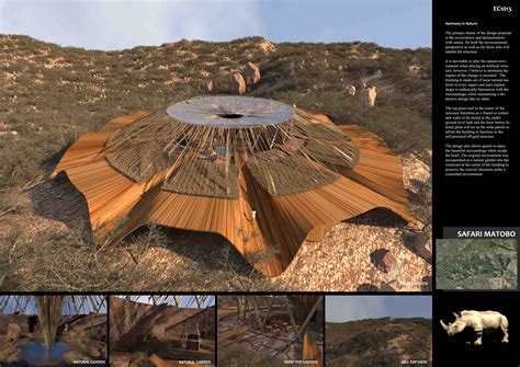 Environmental Project Ideas 的图像结果