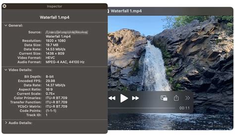 Windows Media Compression Download 的图像结果