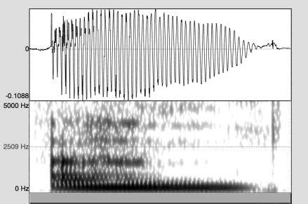 How to Paste Praat Spectrogram to Word Document 的图像结果