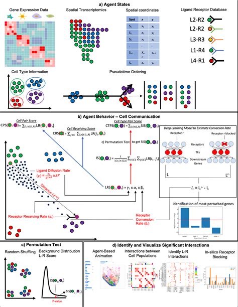Python Cell Resonance Modelling 的图像结果