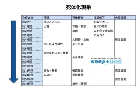 Operator Overloading Examples 的图像结果