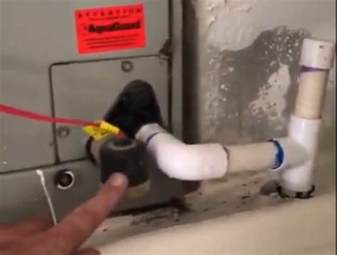 AC Float Switch Problems 的图像结果