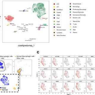 Single-cell RNA-seq 的图像结果
