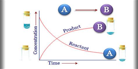 Kinetics Chem 的图像结果