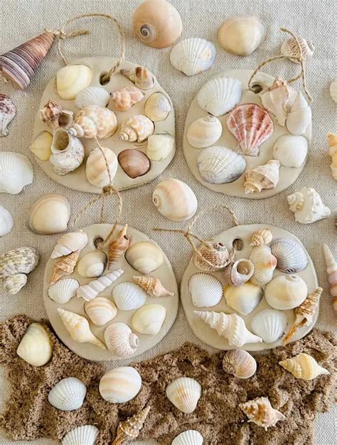 Crafts Using Sea Shells 的图像结果