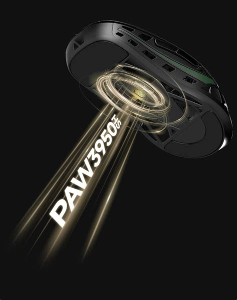 Image result for Mini Mouse DTI