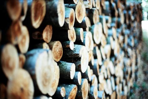 Types of Engineered Wood | Guide by Alankar Furnitures