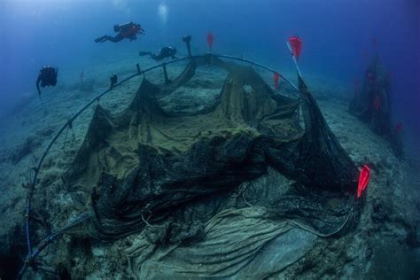 Sea Waste Collection Project 的图像结果