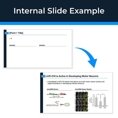 Scientific PowerPoint Presentation Examples 的图像结果