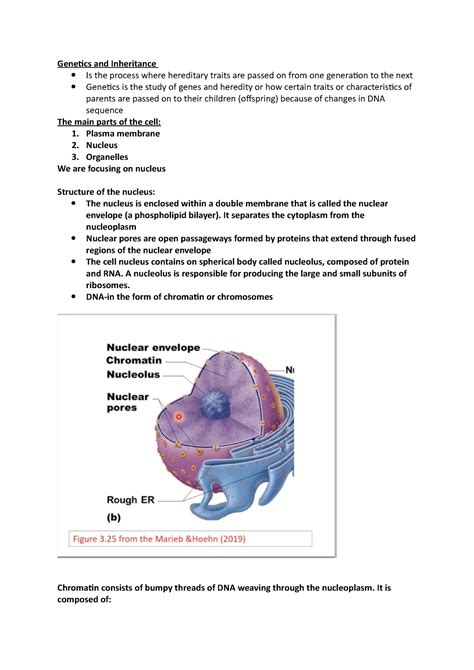 Image result for Difference Between Genetics or Inheritance