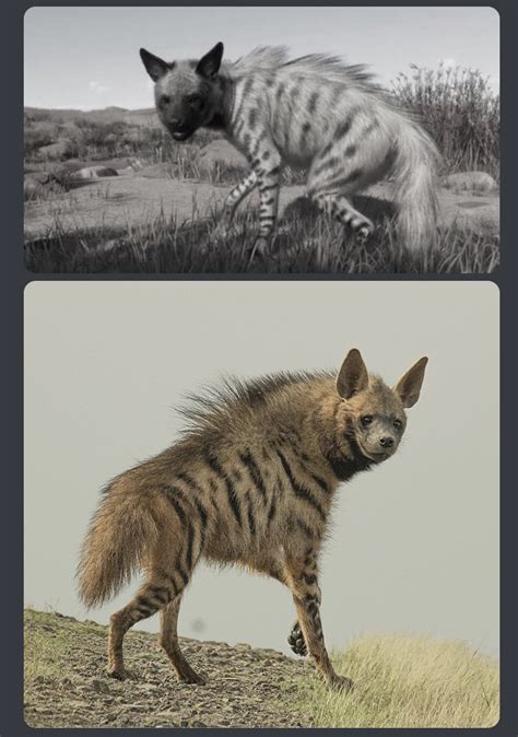 Striped Hyena Overhaul | Frontier Forums
