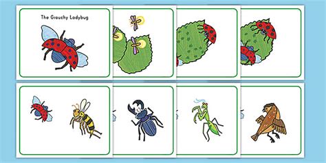 The Grouchy Ladybug Story Cards