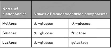Biological Molecules: Carbohydrates - Biology for Grade 12 PDF Download