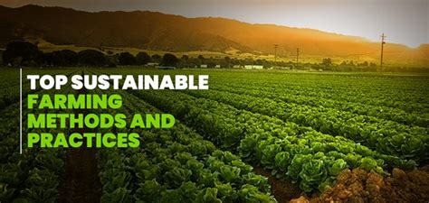 African Farming Methods 的图像结果