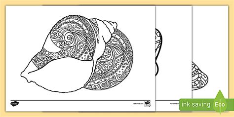 Shell Mindfulness Colouring Pages - Twinkl