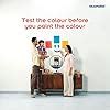 Dulux Color Play 30 ml Paint Tester (Coastal Beige, Color Code: 90YR 51 ...