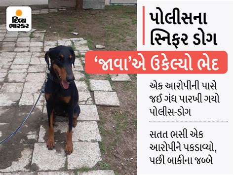 6 men commit atrocities on a woman who went to cut grass in Dethan ...