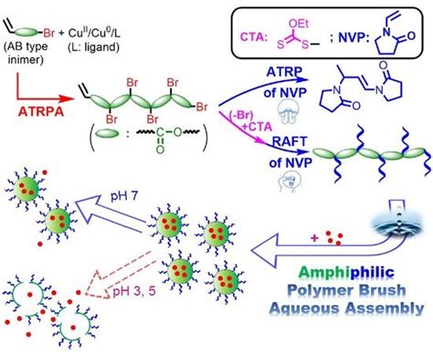 Synthesis of Poly(N-vinylpyrrolidone)-Based Polymer Bottlebrushes by ...