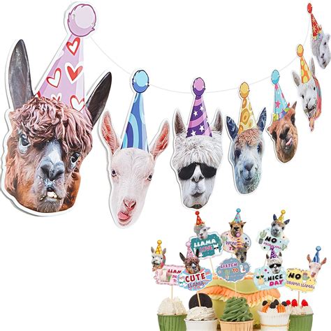 Llama Birthday Garland Funny Alpaca Face Portrait | Ubuy India