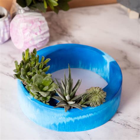 Halo-Cloud-Circular, Moon Shaped Succulent Planter for beautifying you ...