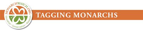Monarch Tagging Program 的图像结果