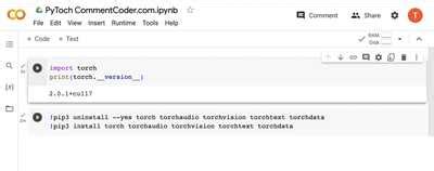 Python Torch Tutorial Francais 的图像结果