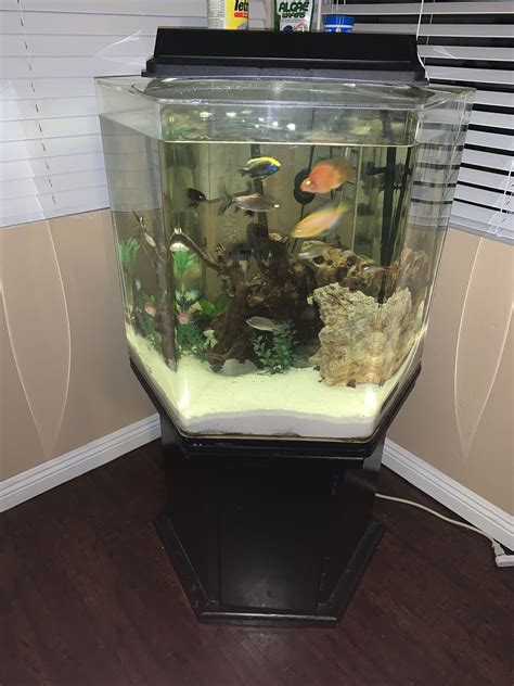 80 gallons acrylic fish tank for Sale in Loma Linda, CA - OfferUp