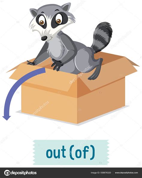 Preposiciones Inglesas Mapaches Salen Las Cajas Ilustración Vector de ...