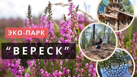 Интересные пригороды Петербурга: ЭКО-ПАРК "ВЕРЕСК" - YouTube