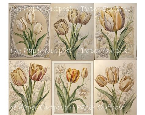 Image result for Paper Outpost Tutorials Tucs