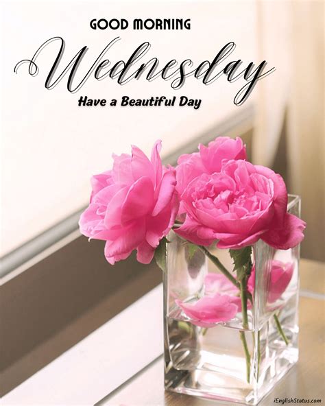 Beautiful Wednesday Good Morning Image - Good Morning Wishes & Images