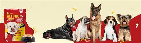 Wiggles Wet Dog Food for Adults Senior Pets (Pack 6, 900 GM) | Chicken ...