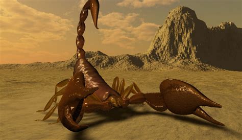 Akrep Resimleri - Sayfa 2