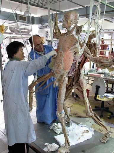 尸体解剖鉴定性别尸体解剖鉴定申请书2022已更新今日推荐