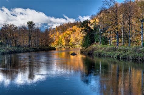 Nature River 的图像结果