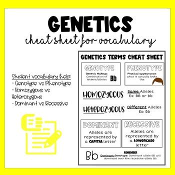 Image result for Genetic Algorithm Cheat Sheet