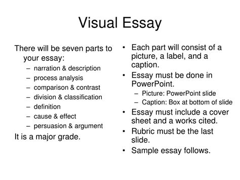 Image result for Visual Essay Examples
