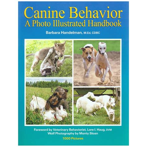 Image result for Behavior Modification Books
