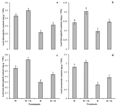 Evaluation of Silicon Supplementation for Drought Stress under Water ...