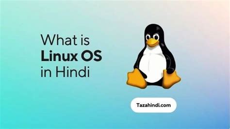 Image result for Linux Operating System Installation in Hindi