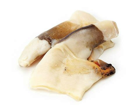 Image result for Conch Shell Meat
