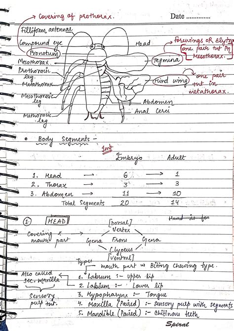 Image result for Cockroach Labeled