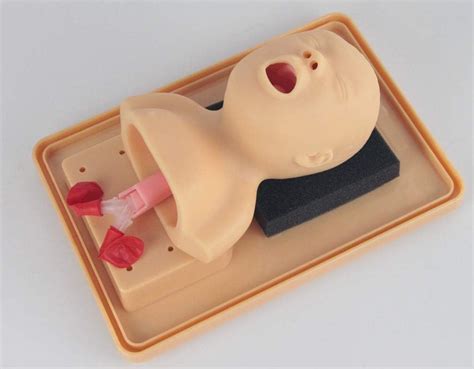 Intubation Manikin Tracheal Intubation Training Simulator Model Airway ...